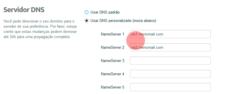 DNS 3